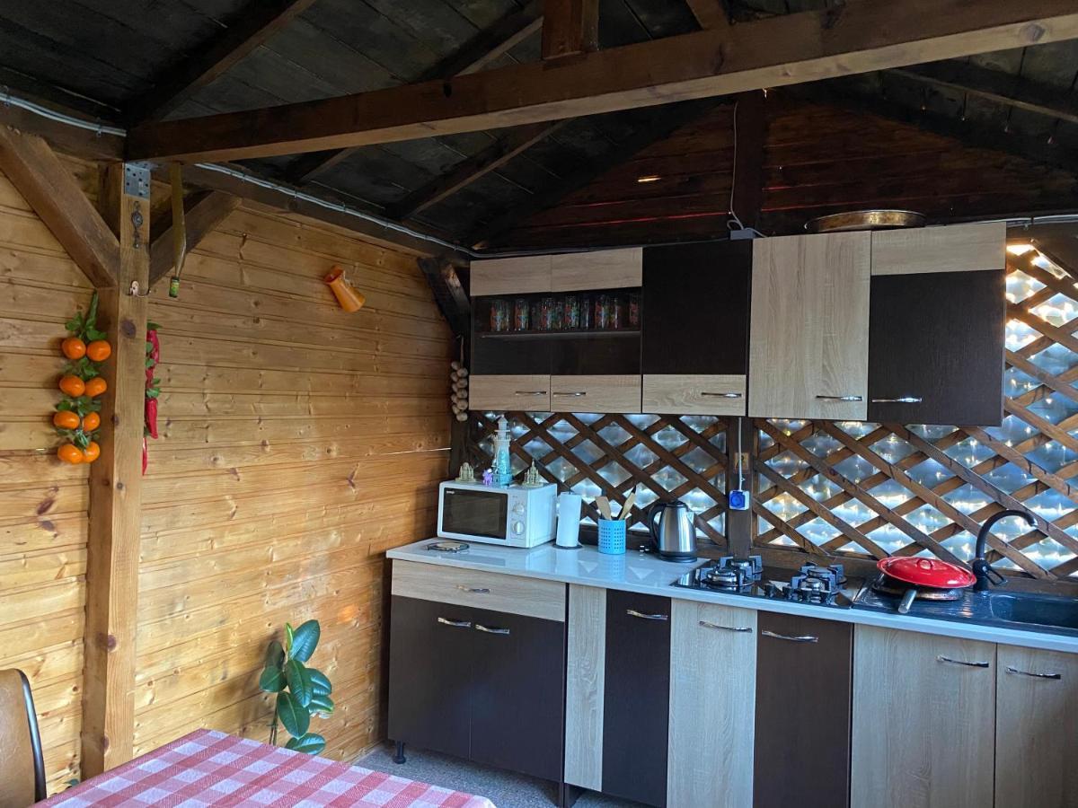 Vila Piscotel Schitu Dış mekan fotoğraf